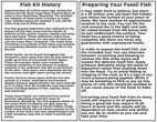 Prepare Your Own Fossil Fish Kit - Knightia or Diplomystus - Photo 5